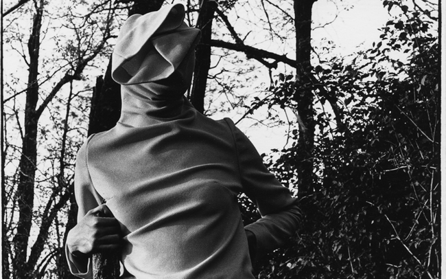 Torso at Aunt Zoe’s Farm, Jessamine County, KY by Guy Mendes