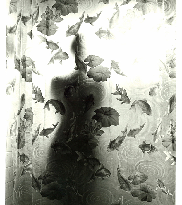 Torso with Fish, Lexington, KY by Guy Mendes