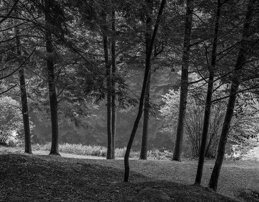 Blanton Forest, Harlan County by Guy Mendes