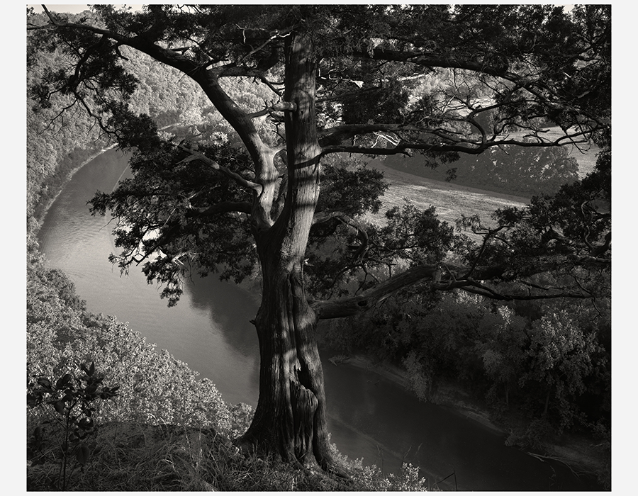 Buzzards Roost, Woodford County by Guy Mendes