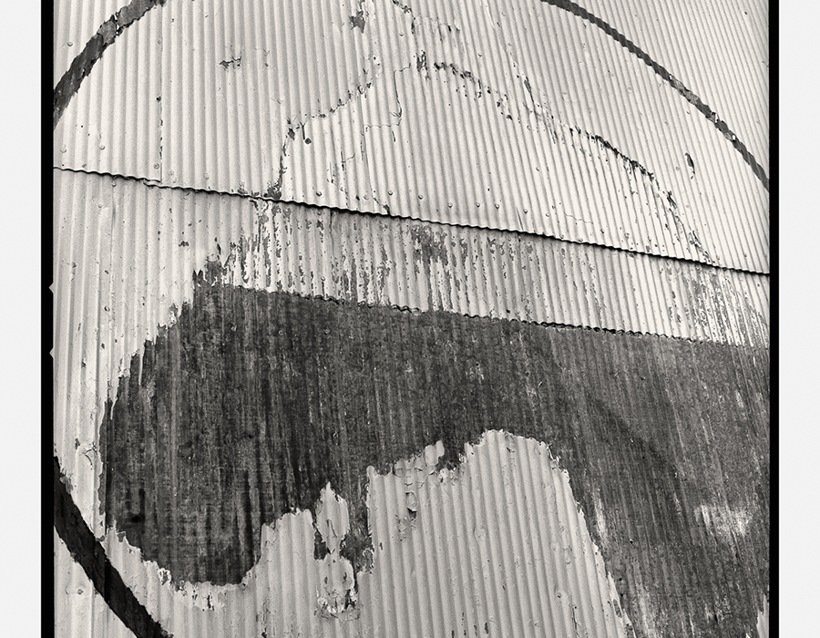 Horse Capital by Guy Mendes