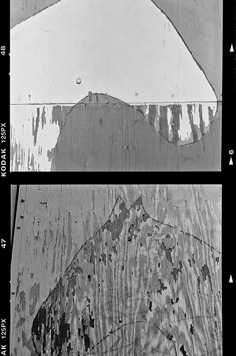 Horse Not Horse by Guy Mendes