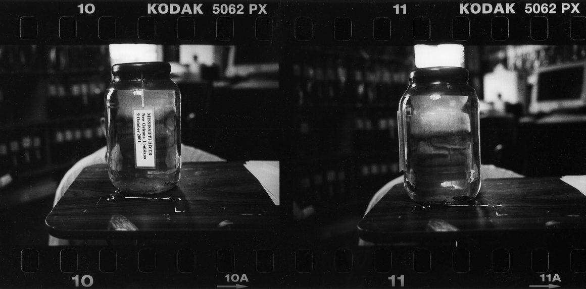 Louis Bickett Diptych by Guy Mendes