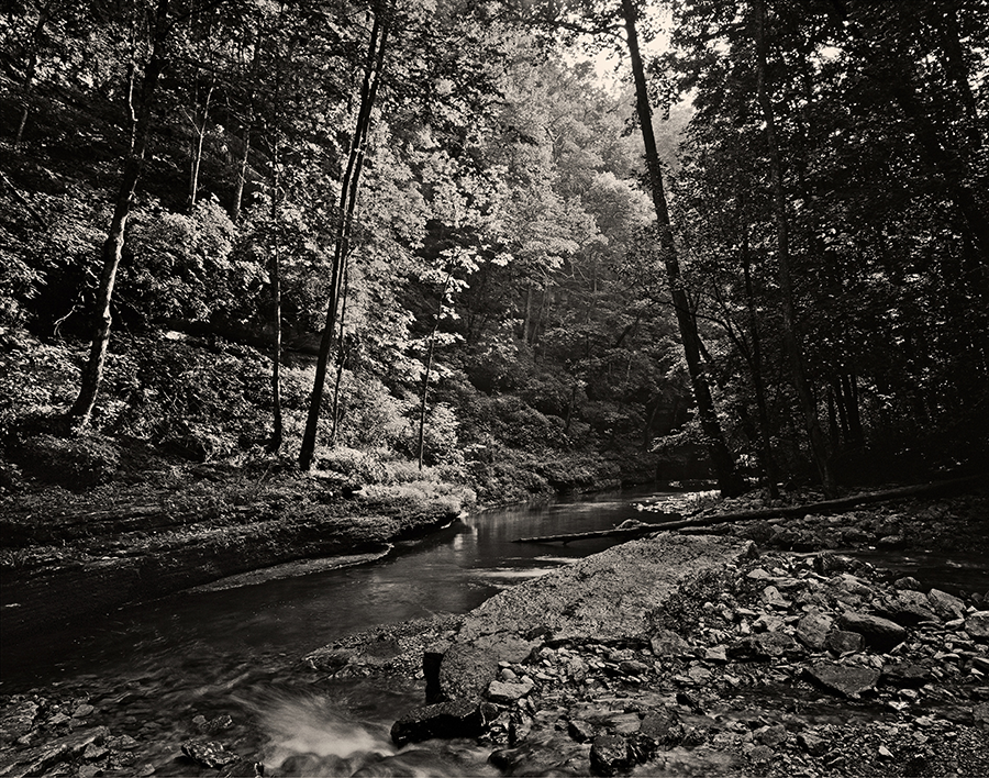 Marble Creek in Summer by Guy Mendes