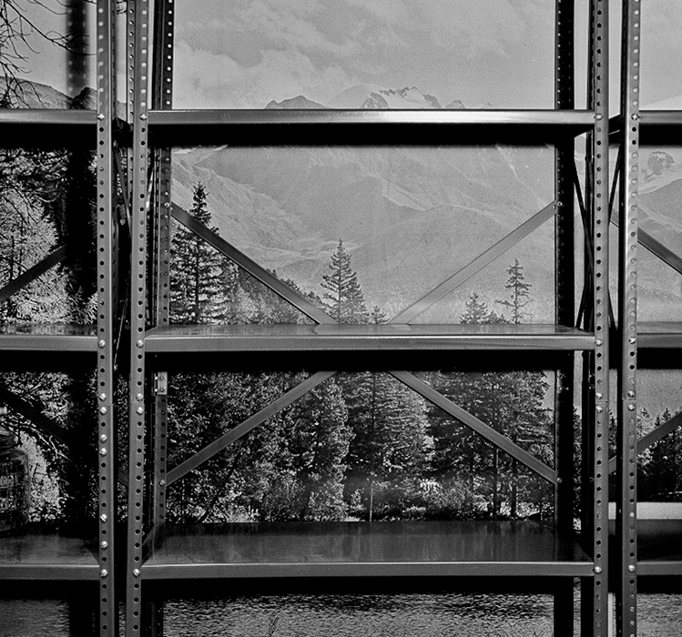 Nature Preserve by Guy Mendes