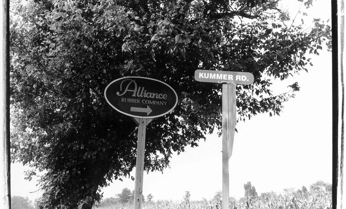 Near Franklin, TN by Guy Mendes