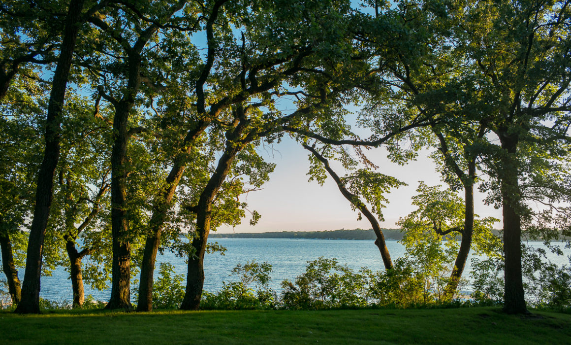 Okoboji Oaks by Guy Mendes
