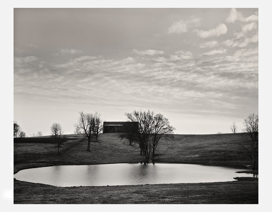 Pond on Delaney Ferry Road by Guy Mendes