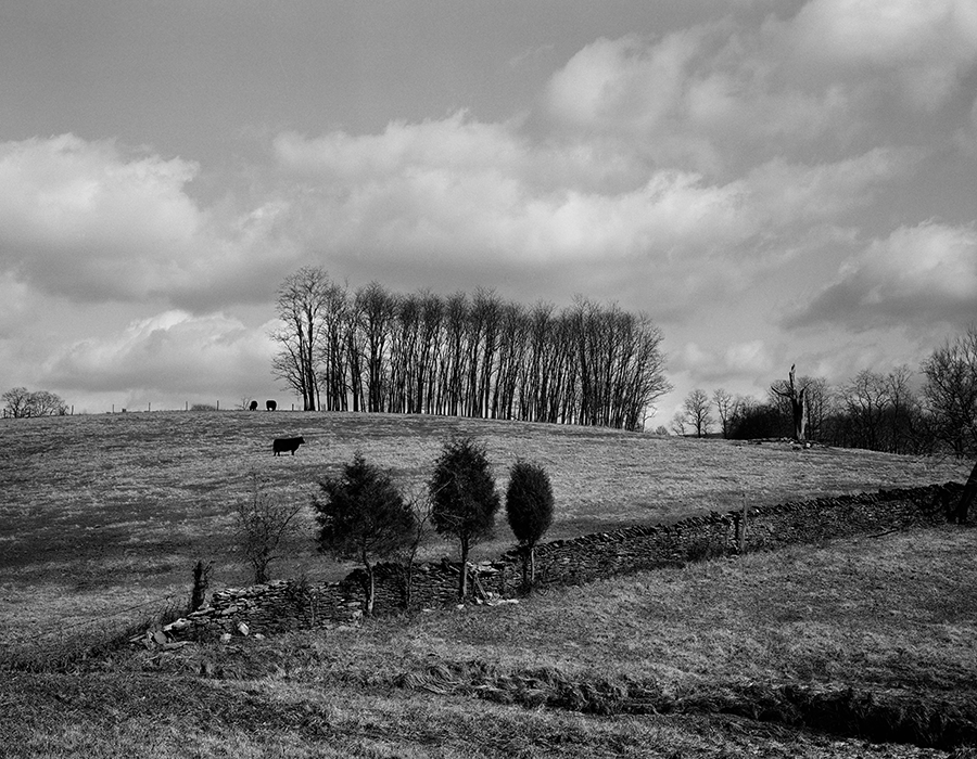Sellars Mill Road, Woodford County, KY by Guy Mendes