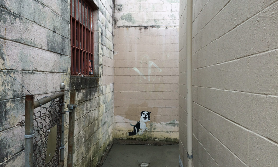 Snarly Pete 2 by Guy Mendes