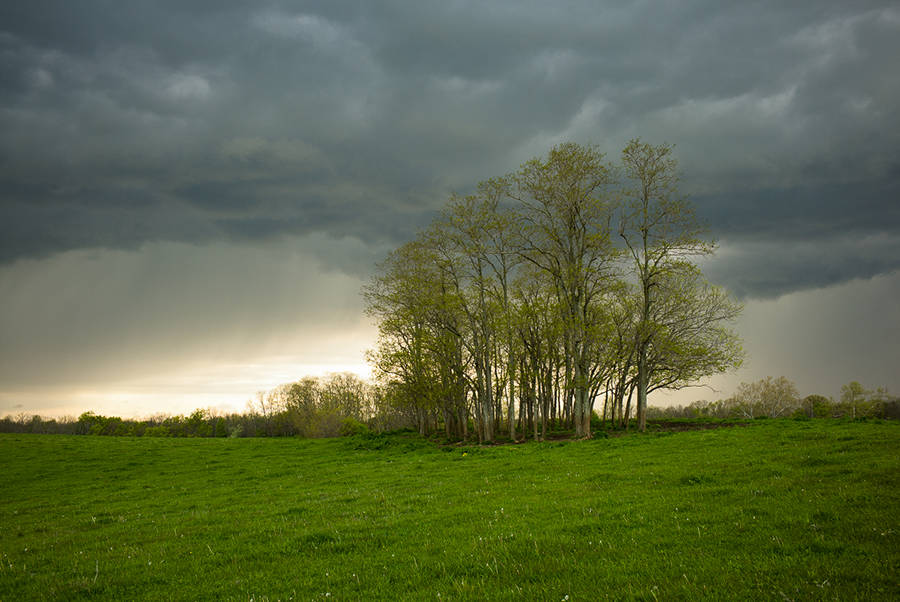 Spring Rain on the Ponderosa, Scott County, KY by Guy Mendes