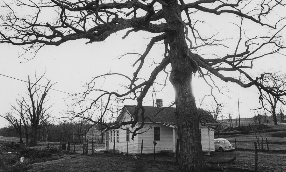 Tenent House Elm's Farm by Guy Mendes