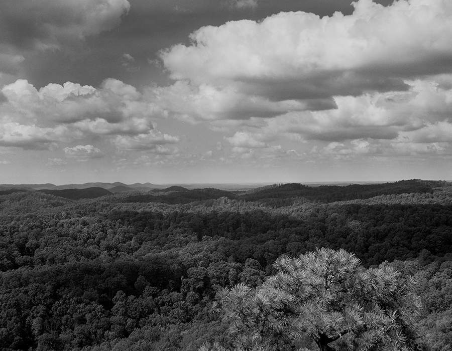 West View from Tater Knob by Guy Mendes