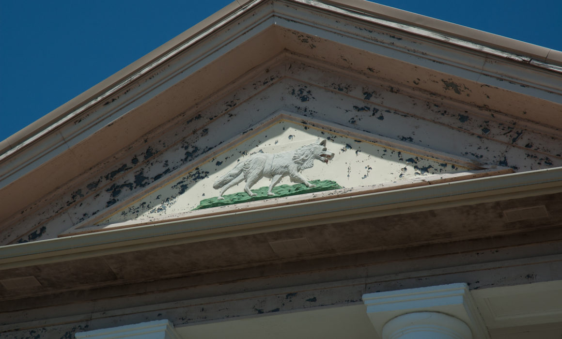 Wolfe Wolf by Guy Mendes