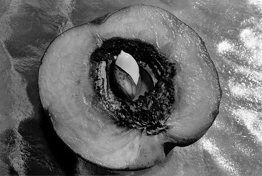 Inner Peach by Guy Mendes